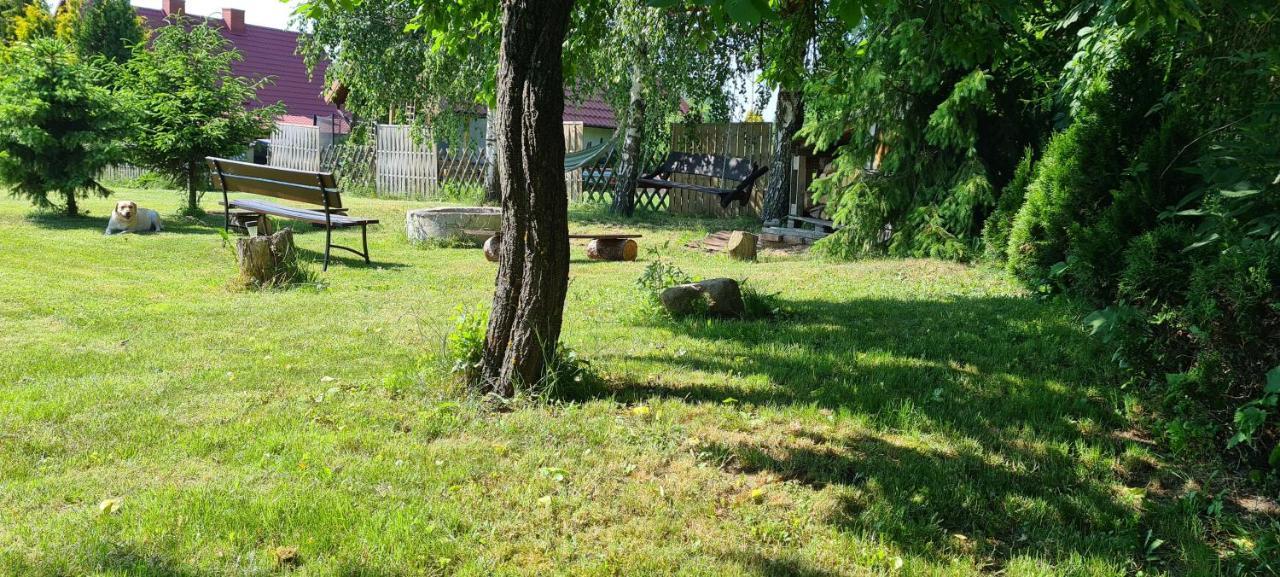 Oliwkowe Jerzykowo -Klimatyzacja Villa Radzieje Eksteriør billede
